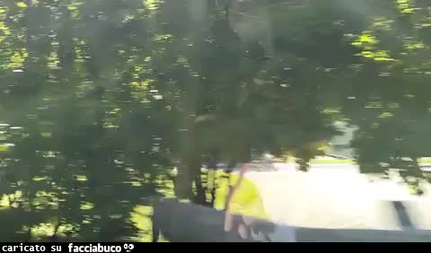 Gif Animata