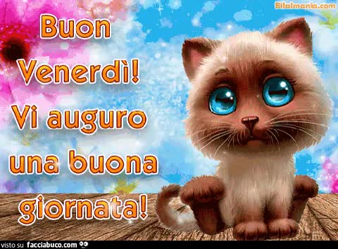 Gif Animata