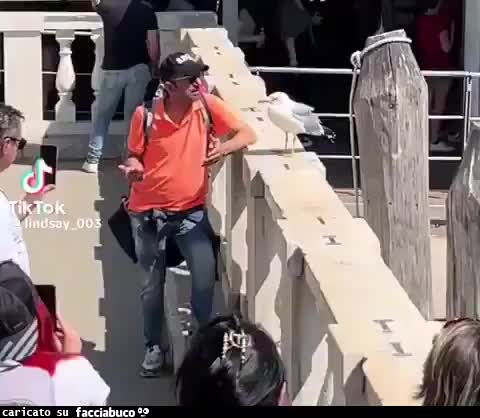 Gif Animata
