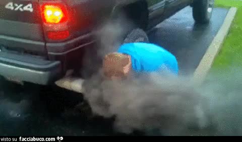gif animata