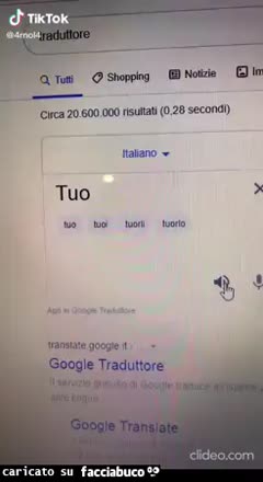 Lingua francese traduttore
