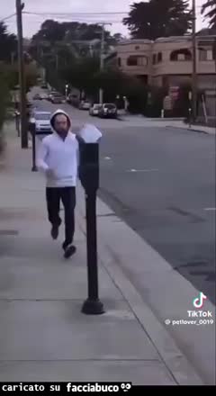 gif animata