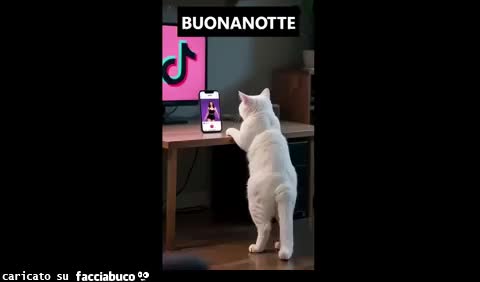 Gif Animata