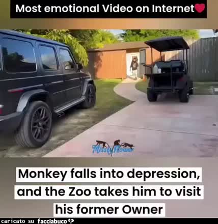 Gif Animata