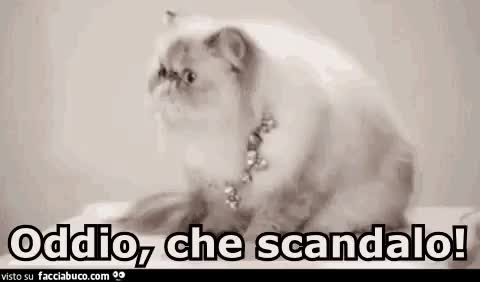 gif animata