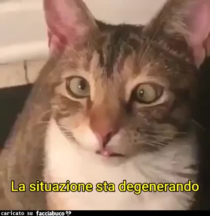 Dignità finita