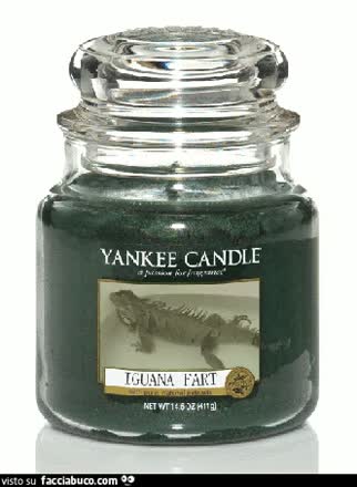 Iguana Fart Candle