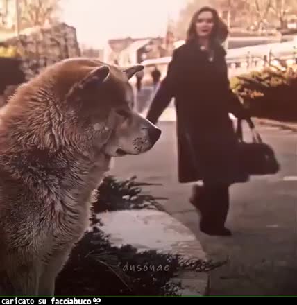 gif animata