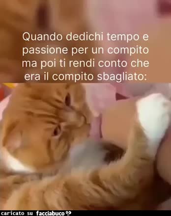 Quando dedichi tempo e passione per un compito ma poi ti rendi conto che era il compito sbagliato