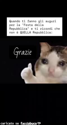 gif animata