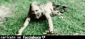 gif animata