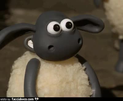 gif animata