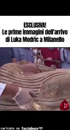 Gif Animata