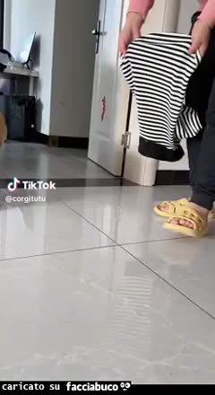 gif animata