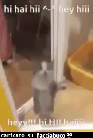 gif animata