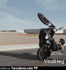 gif animata