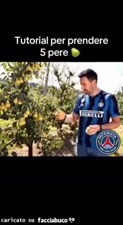 Gif Animata