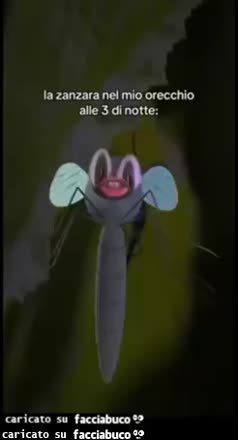gif animata
