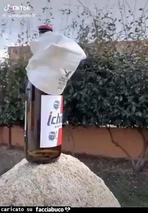 Gif Animata