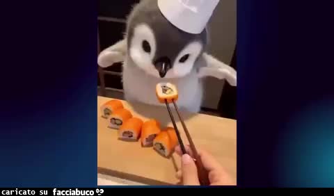 Gif Animata