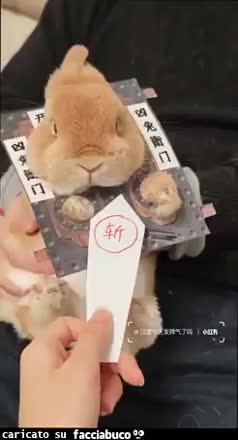 Gif Animata