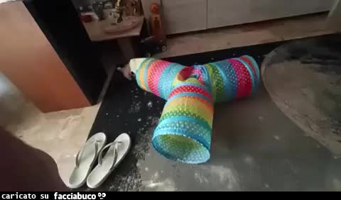 Gif Animata