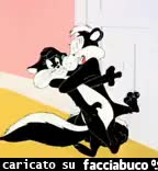 gif animata