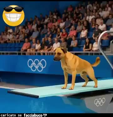 Gif Animata