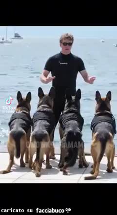 gif animata