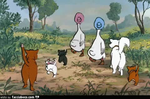 gif animata