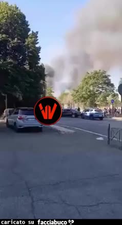 Gif Animata