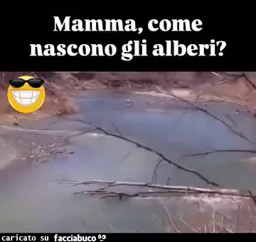 Gif Animata