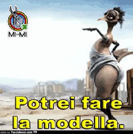 Gif Animata