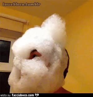 gif animata
