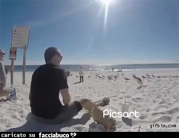 Gif Animata