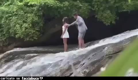 Gif Animata