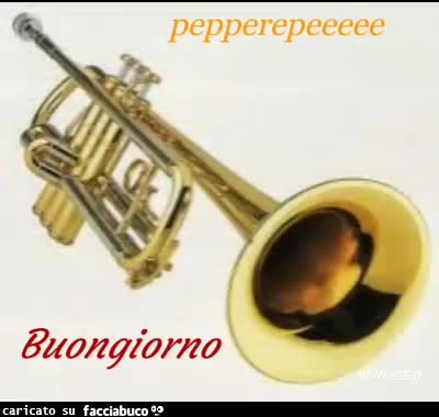 gif animata