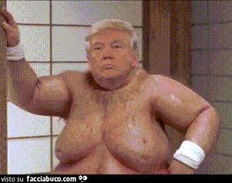 gif animata