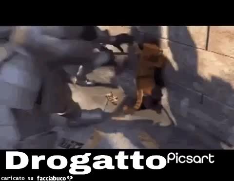 gif animata