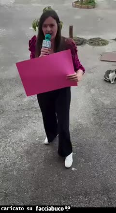 Mi vuoi