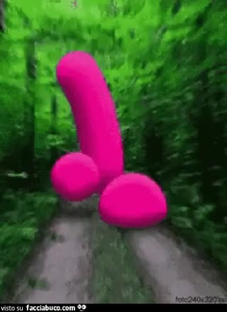gif animata