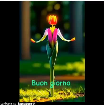 Gif Animata