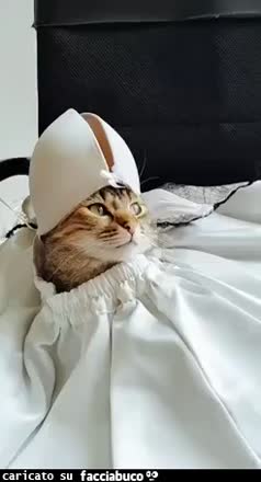 Gif Animata