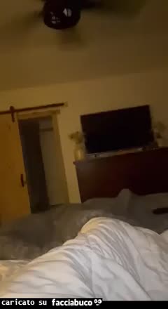 Mamma gatta porta i gattini dentro al letto sotto le coperte