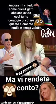 Gif Animata