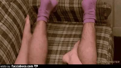 gif animata