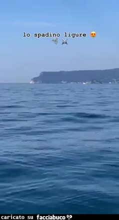 Gif Animata
