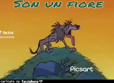 gif animata