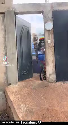 Gif Animata