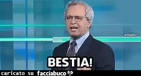gif animata